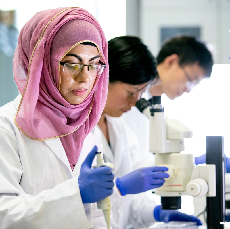 Comprehensive Laboratory Services at home in Dubai